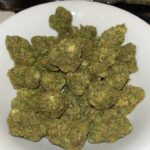 Gelato 41
