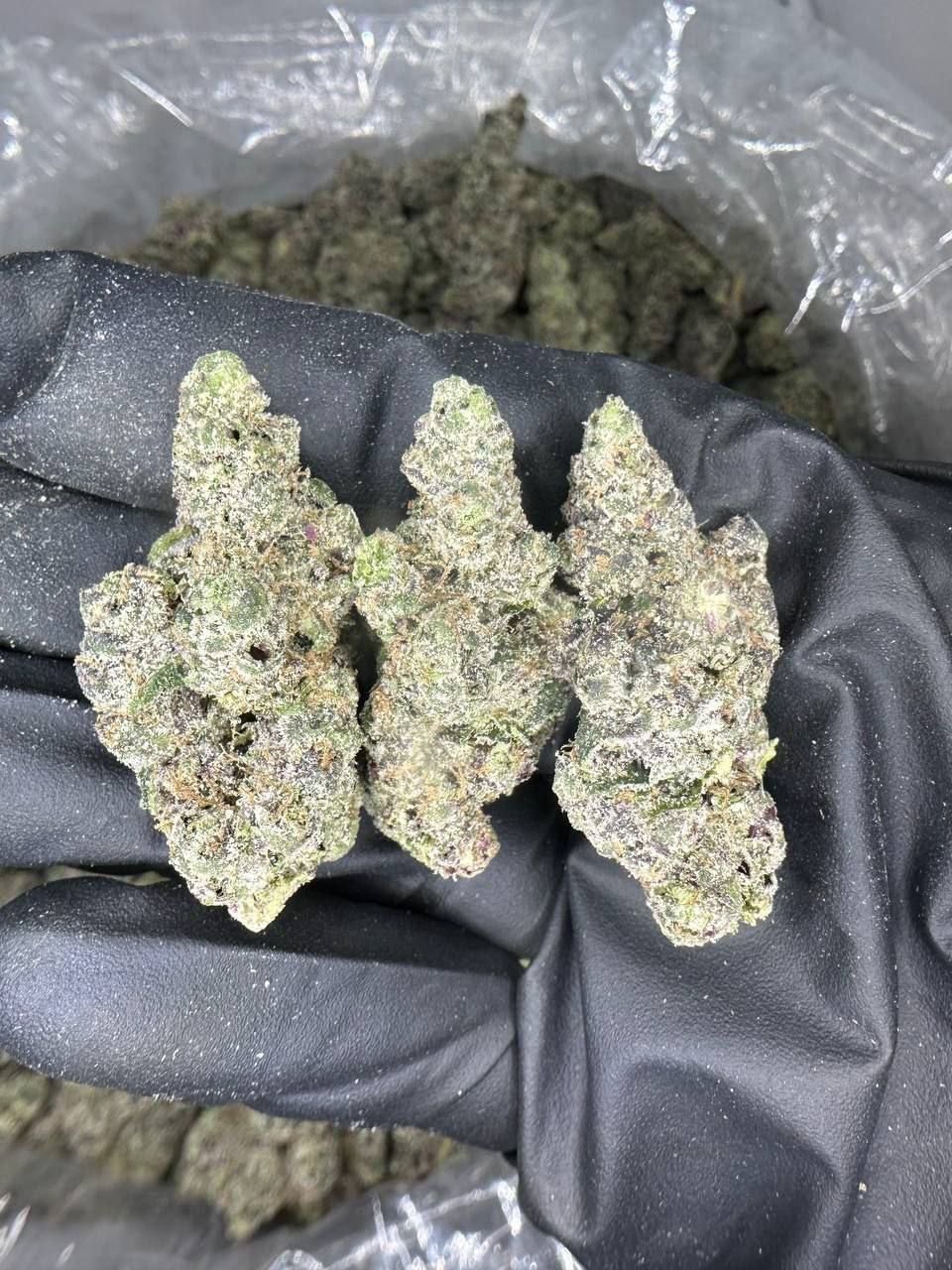 4.jpg Bubblegum Popperz Strain - Image 1
