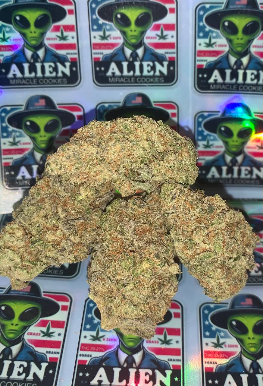 Alien-Miracle-Cookies.jpg Alien Miracle Cookies - Image 1