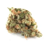 Girl Scout Cookies Strain - Image 2