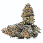 Sunset Sherbet Strain - Image 2