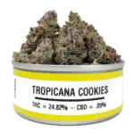 Space Monkey Meds Tropicana Cookies - Image 2