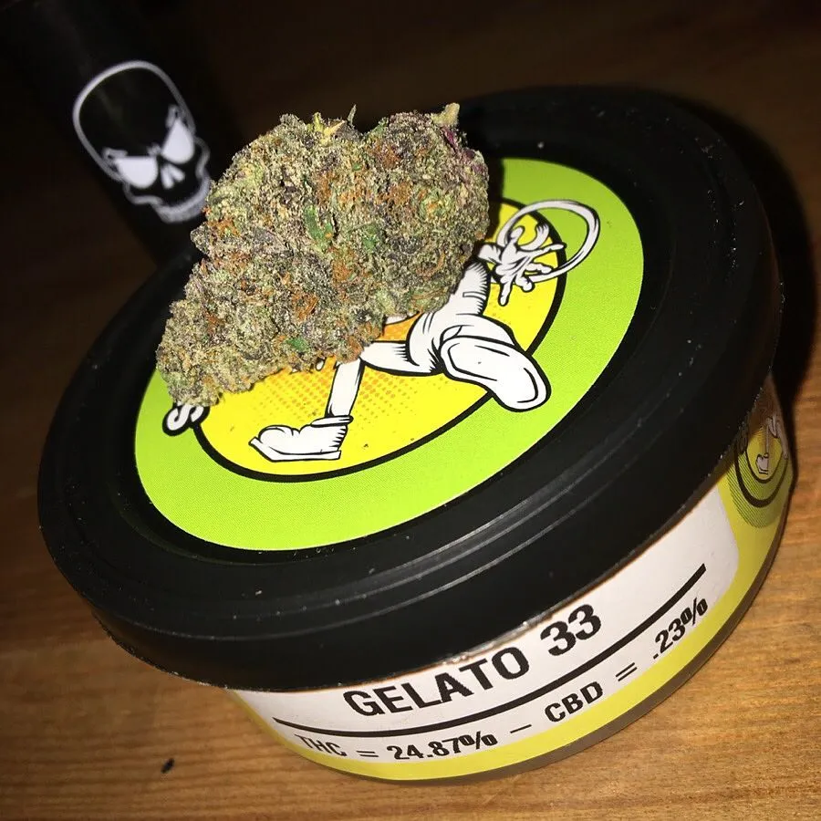 WhatsApp-Image-2021-12-11-at-10.18.30-AM.webp Space monkey meds Gelato 33 - Image 1