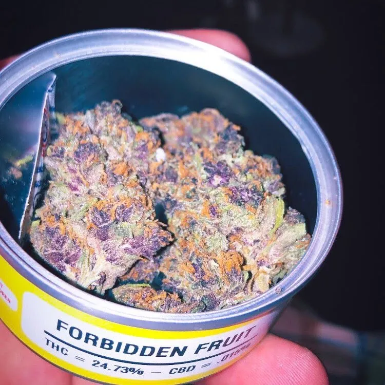 WhatsApp-Image-2021-12-11-at-9.18.59-AM.webp Space monkey meds Forbidden Fruit - Image 1