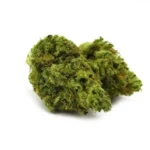 Banjo Kush
