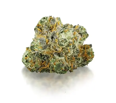 bubba-kush-strain_450-min.webp Fat Banana Kush - Image 1