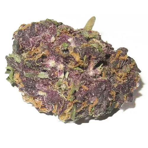 buy-granddaddy-purple-kush-online-legalonlinecannabisdispensarycom-dispensary.webp Granddaddy Purple Strain - Image 1