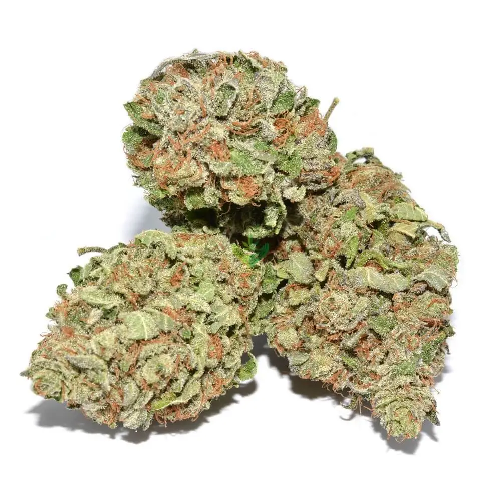 h_purple_kush.webp Purple Kush Strain (Royal Purple Kush) - Image 1