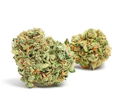 mj_mandarin_dreams_marijuana_strain__450.webp Zkittles Strain (Skittles Weed Strain) - Image 1