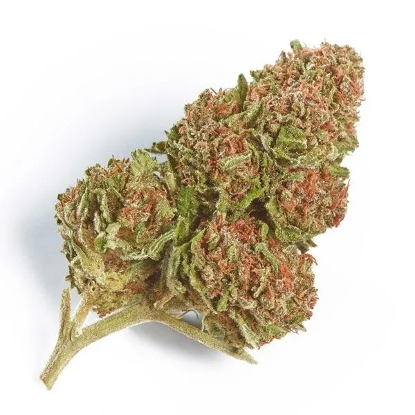 northern-lights.webp Northern Lights Strain - Image 1