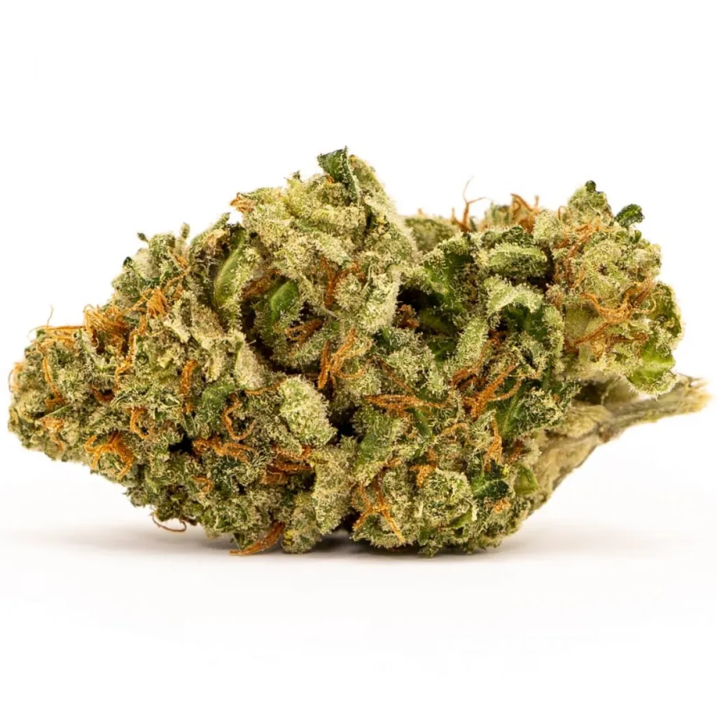 zzz.webp White Widow - Image 1