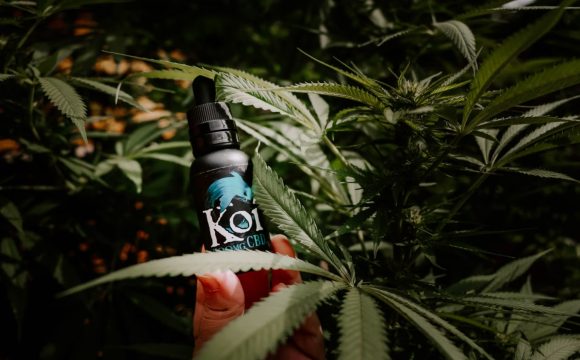 medical-marijuana-blog-img-8-1